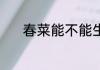 春菜能不能生吃 春菜能生吃吗