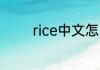 rice中文怎么读 rice的意思