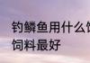 钓鳞鱼用什么饲料最好 钓鳞鱼用哪些饲料最好