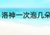 洛神一次泡几朵 每次泡多少洛神花好