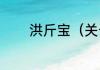洪斤宝（关于洪斤宝的简述）
