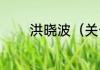 洪晓波（关于洪晓波的简述）