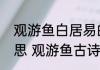 观游鱼白居易的诗意观游鱼古诗的意思 观游鱼古诗的翻译及原文