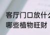 客厅门口放什么植物旺财 客厅门口放哪些植物旺财