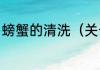 螃蟹的清洗（关于螃蟹的清洗的简述）