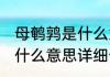 母鹌鹑是什么意思消息推荐 母鹌鹑是什么意思详细介绍
