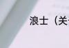 浪士（关于浪士的简述）