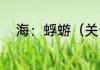 海：蜉蝣（关于海：蜉蝣的简述）