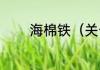海棉铁（关于海棉铁的简述）