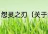 怨灵之刃（关于怨灵之刃的简单科普）