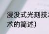 浸没式光刻技术（关于浸没式光刻技术的简述）
