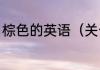 棕色的英语（关于棕色的英语的简述）