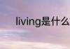 living是什么意思 living的意思