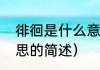 徘徊是什么意思（关于徘徊是什么意思的简述）