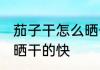 茄子干怎么晒干的快 茄子干怎么才会晒干的快