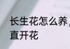 长生花怎么养，长生花怎么养才能一直开花