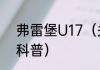 弗雷堡U17（关于弗雷堡U17的简单科普）