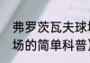 弗罗茨瓦夫球场（关于弗罗茨瓦夫球场的简单科普）