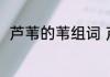 芦苇的苇组词 芦苇的苇组词有哪些
