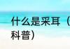 什么是采耳（关于什么是采耳的简单科普）