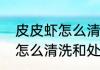 皮皮虾怎么清洗和处理（关于皮皮虾怎么清洗和处理的简单科普）