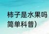 柿子是水果吗（关于柿子是水果吗的简单科普）