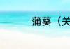 蒲葵（关于蒲葵的简述）