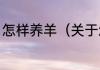 怎样养羊（关于怎样养羊的简单科普）