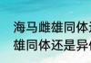海马雌雄同体还是异体（关于海马雌雄同体还是异体的简单科普）