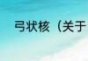 弓状核（关于弓状核的简单科普）