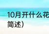 10月开什么花（关于10月开什么花的简述）