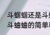 斗蝈蝈还是斗蛐蛐（关于斗蝈蝈还是斗蛐蛐的简单科普）