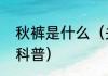 秋裤是什么（关于秋裤是什么的简单科普）