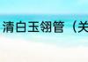 清白玉翎管（关于清白玉翎管的简述）