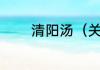 清阳汤（关于清阳汤的简述）