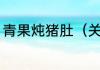 青果炖猪肚（关于青果炖猪肚的简述）