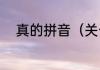 真的拼音（关于真的拼音的简述）