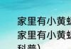 家里有小黄蚂蚁怎么办能除根（关于家里有小黄蚂蚁怎么办能除根的简单科普）