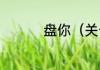 盘你（关于盘你的简述）