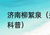 济南柳絮泉（关于济南柳絮泉的简单科普）