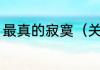 最真的寂寞（关于最真的寂寞的简述）