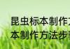 昆虫标本制作方法步骤（关于昆虫标本制作方法步骤的简单科普）
