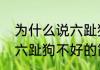 为什么说六趾狗不好（关于为什么说六趾狗不好的简单科普）
