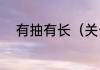 有抽有长（关于有抽有长的简述）