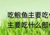 吃鲍鱼主要吃什么部位（关于吃鲍鱼主要吃什么部位的简述）