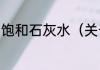 饱和石灰水（关于饱和石灰水的简述）