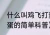 什么叫鸡飞打蛋（关于什么叫鸡飞打蛋的简单科普）