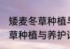 矮麦冬草种植与养护消息推荐 矮麦冬草种植与养护详细介绍