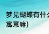 梦见蝴蝶有什么寓意(梦见蝴蝶有什么寓意嘛)