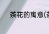 茶花的寓意(茶花的寓意是什么)